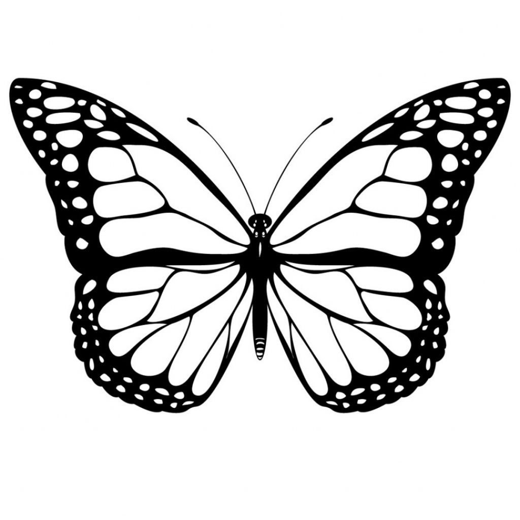 Pencil Drawing Of Butterfly At Getdrawings Free Download 4514