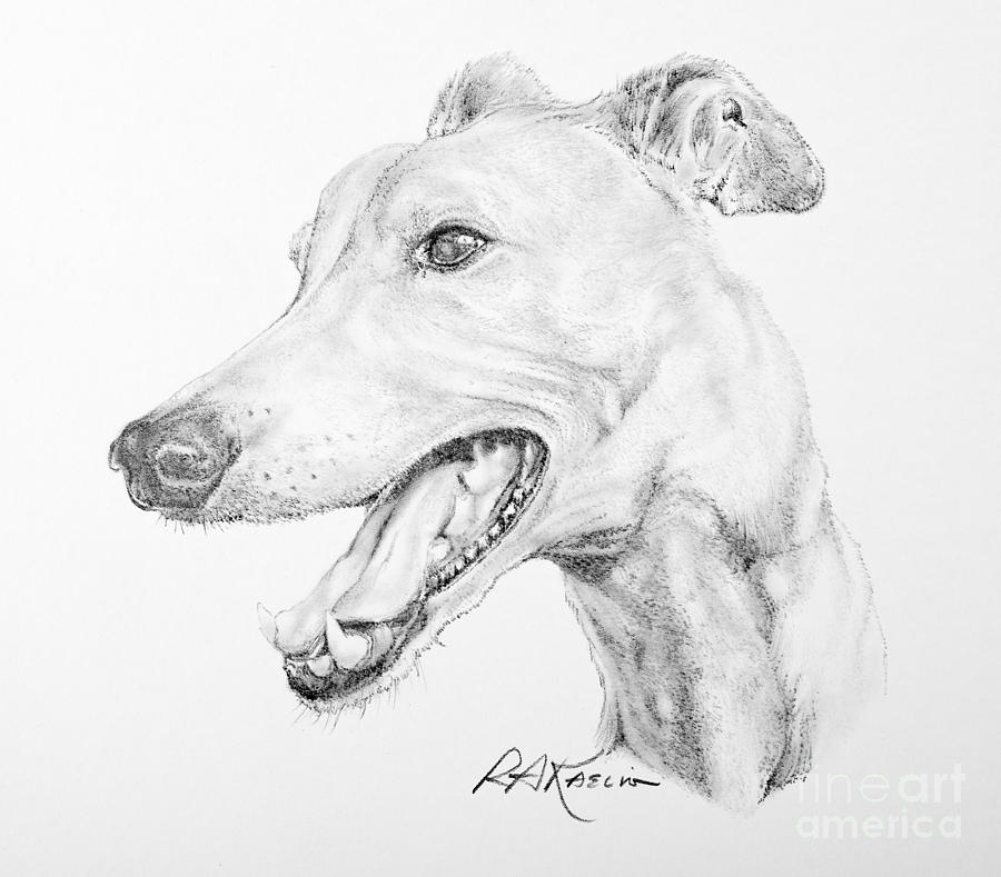 Pencil Drawing Of Dogs at GetDrawings | Free download