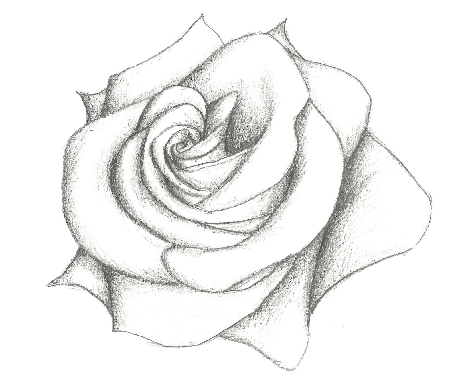 Simple Flower Designs For Pencil Drawing Step By Step : Simple and easy