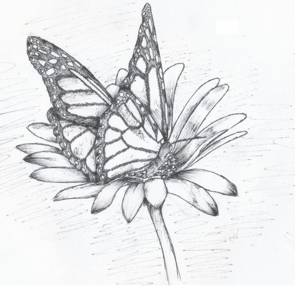 Pencil Flower Drawing At Getdrawings Free Download The best charcoal pencil drawing tutorial of a butterfly. getdrawings com