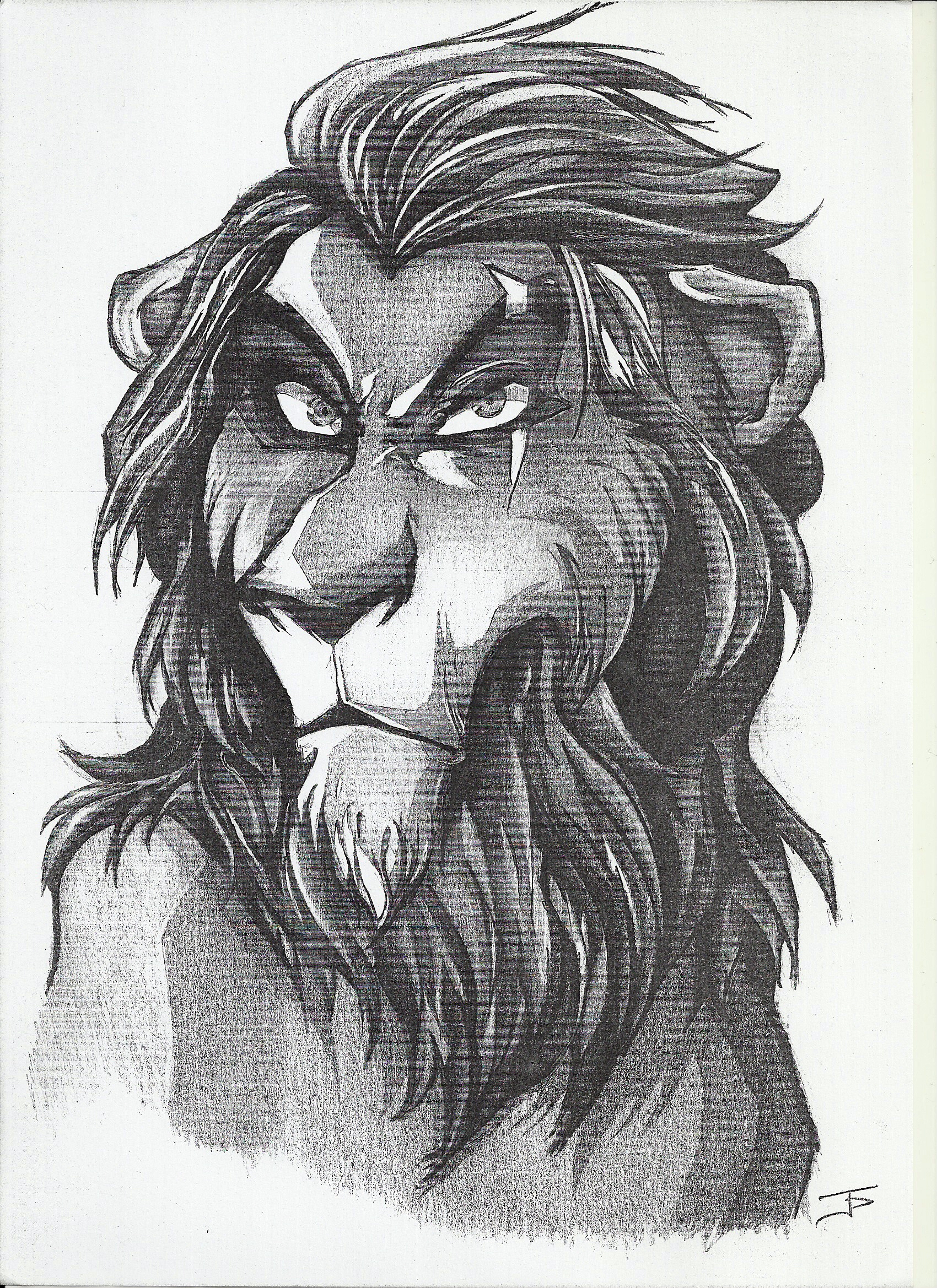 Pencil Lion Drawing at GetDrawings Free download