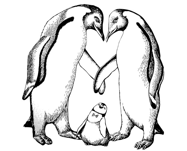 Penguin Line Drawing at GetDrawings | Free download