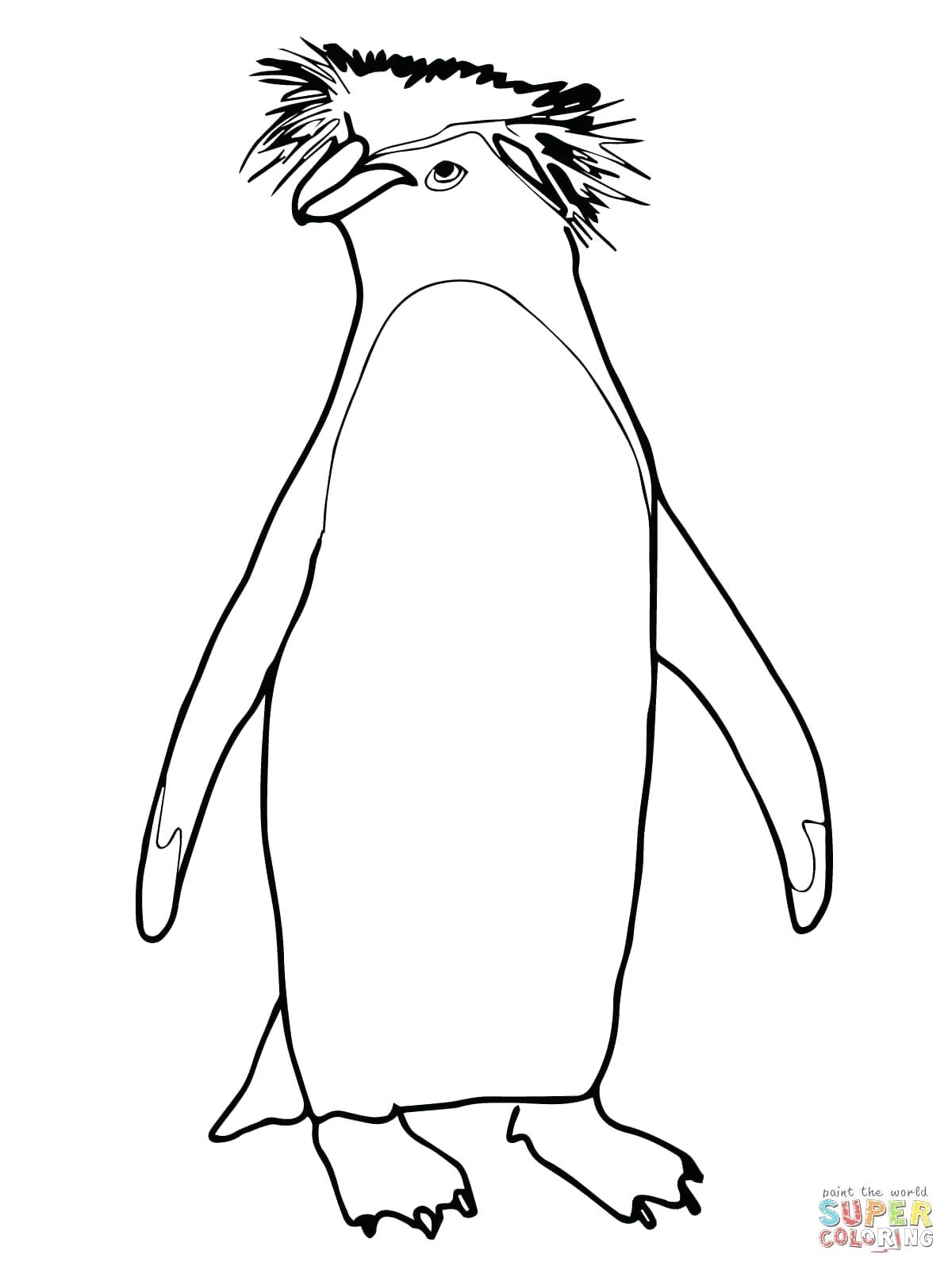 Penguin Line Drawing at GetDrawings | Free download