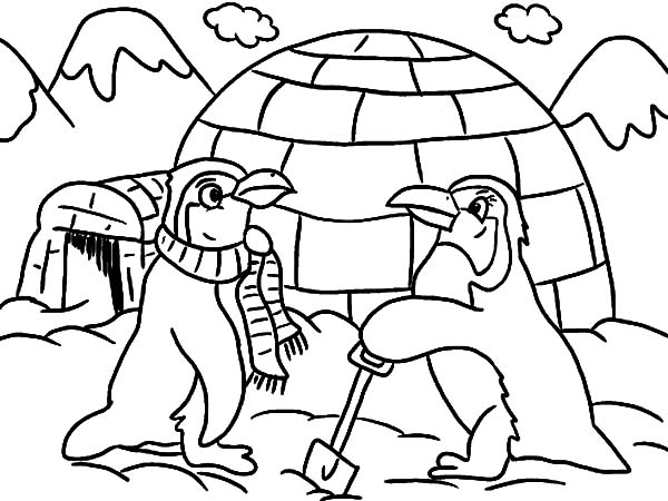 Penguin Outline Drawing at GetDrawings | Free download