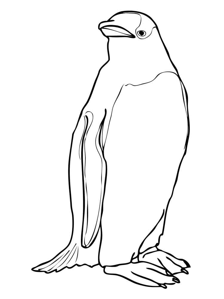 Penguin Outline Drawing at GetDrawings Free download