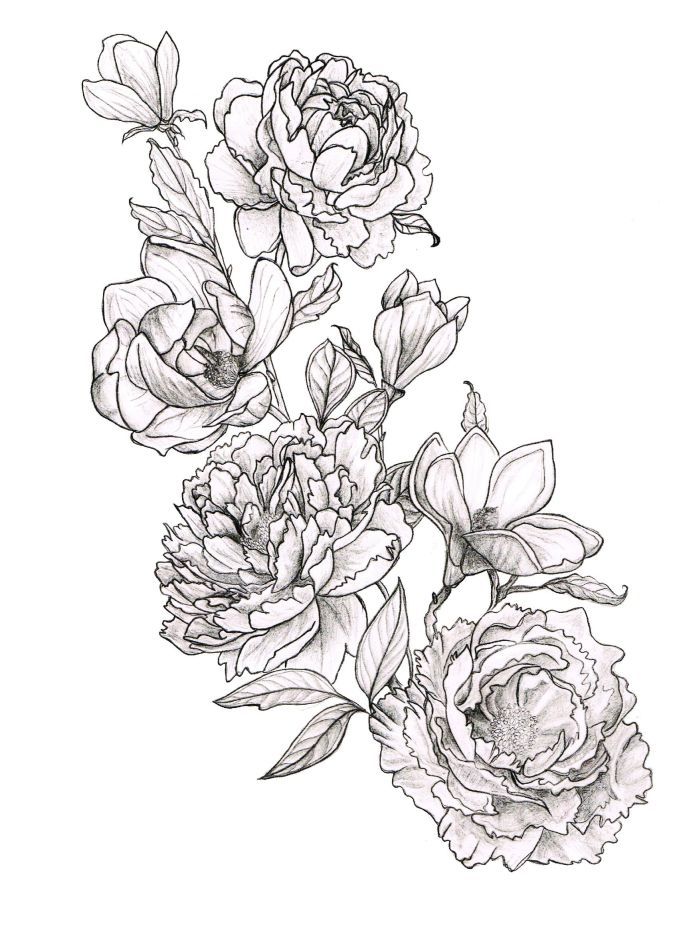 Peony Line Drawing at GetDrawings Free download