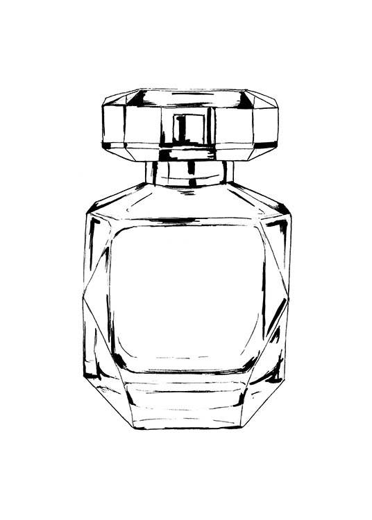 Perfume Bottles Drawing at GetDrawings | Free download