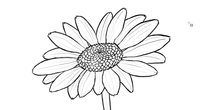 Petal Drawing at GetDrawings | Free download