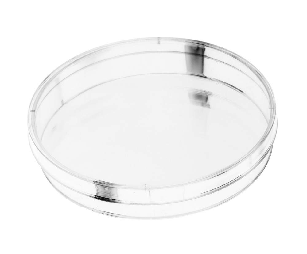 Petri Dish Drawing at GetDrawings Free download