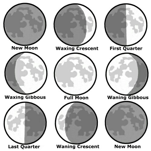 Phases Of The Moon Drawing at GetDrawings | Free download