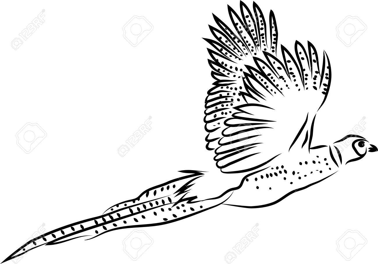 Рисунок летящий фазан
