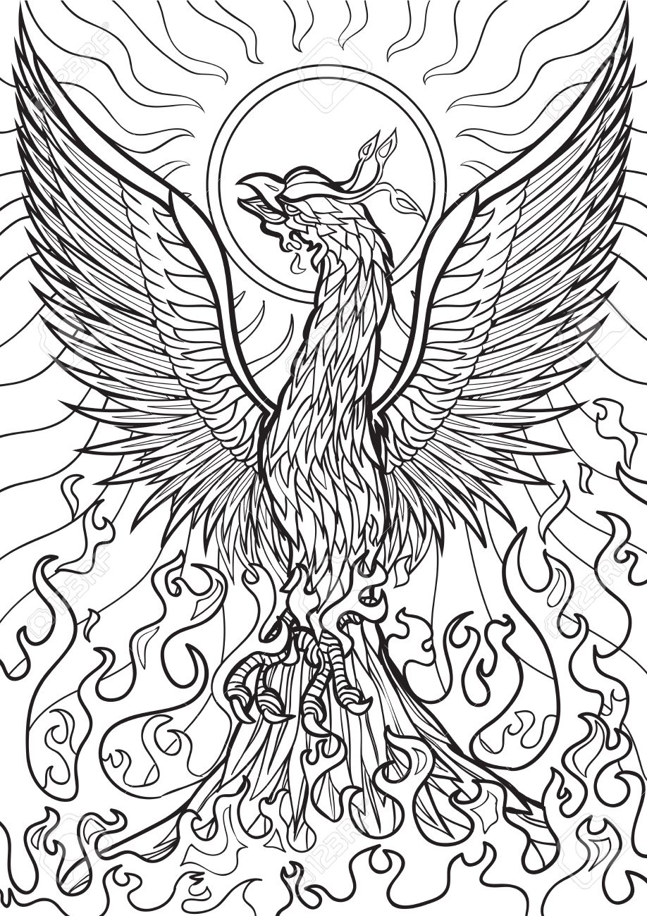 Phoenix Outline Drawing at GetDrawings Free download