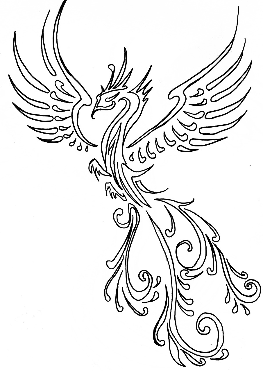 Phoenix Outline Drawing at GetDrawings | Free download