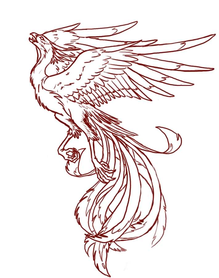 Phoenix Outline Drawing at GetDrawings Free download