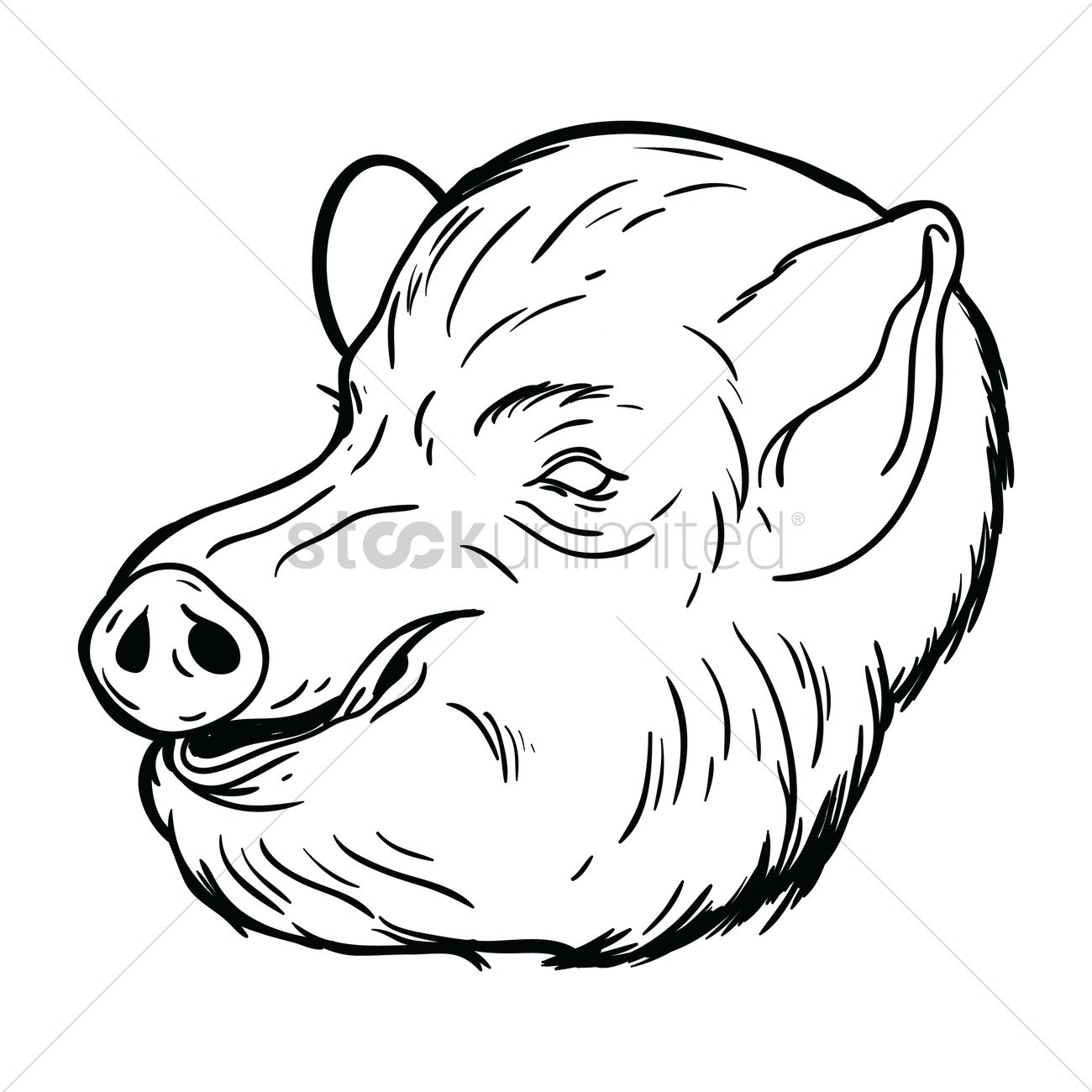 Pig Drawing Images at GetDrawings | Free download