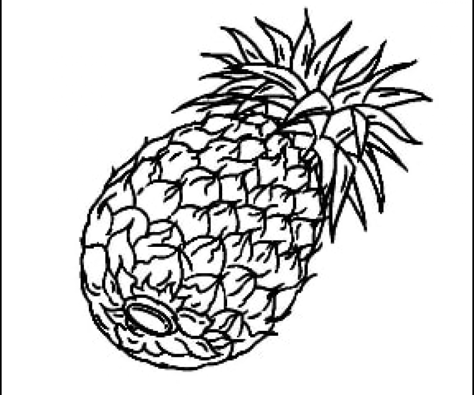 Pineapple Outline Drawing at GetDrawings Free download