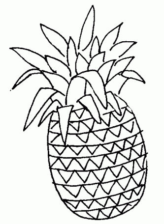 Pineapple Outline Drawing at GetDrawings | Free download