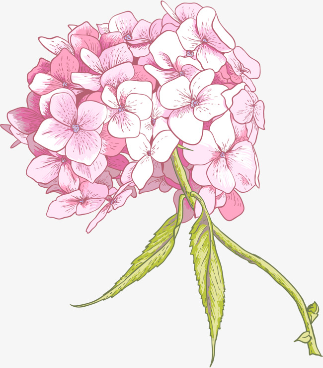 Pink Flowers Drawing at GetDrawings Free download