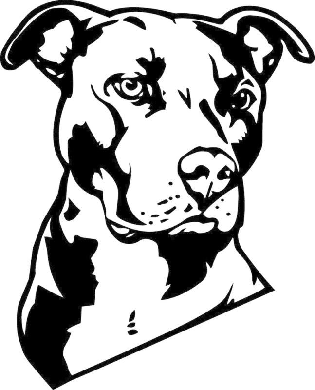 Pitbull Dog Drawing at GetDrawings | Free download