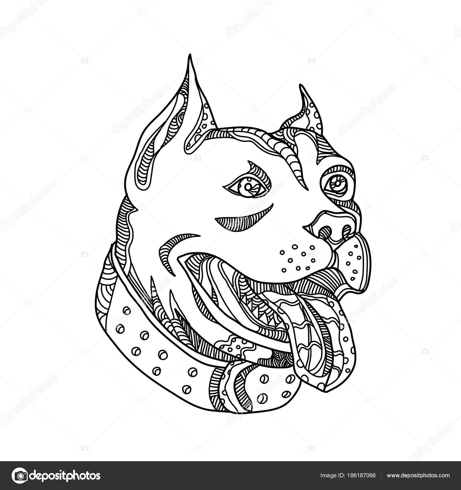 Pitbull Head Drawing at GetDrawings | Free download