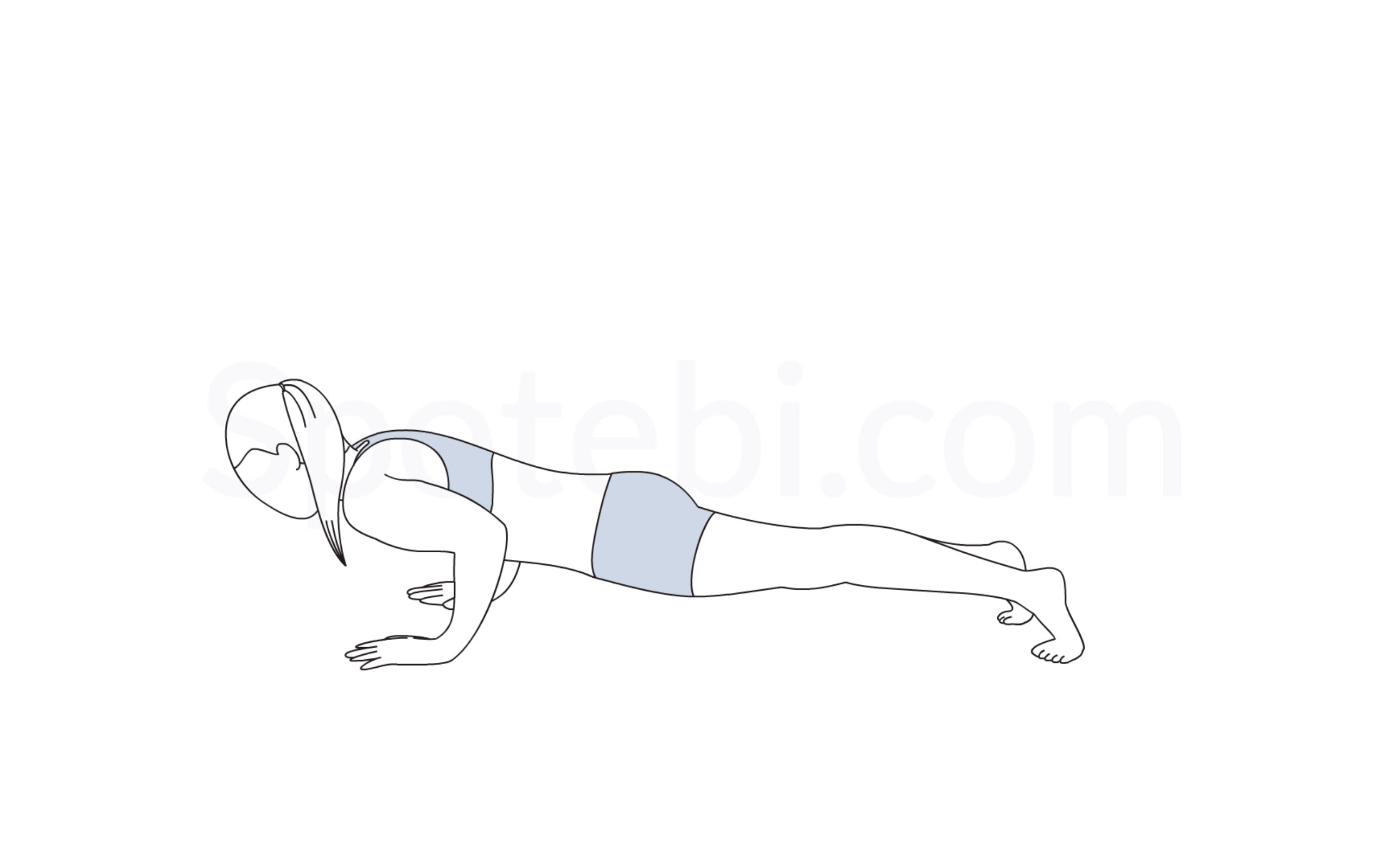 Plank Drawing at GetDrawings Free download