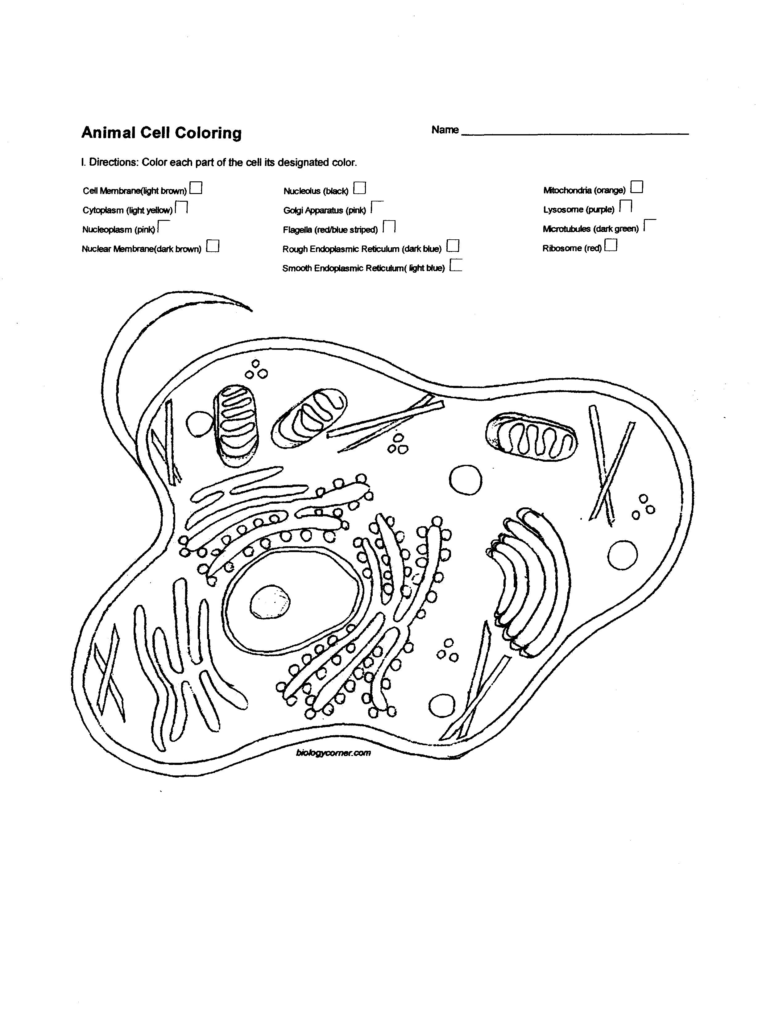 Detailed Labeled Diagram Of A Plant Cell - Wiring Schematics Inside Plant Cell Coloring Worksheet