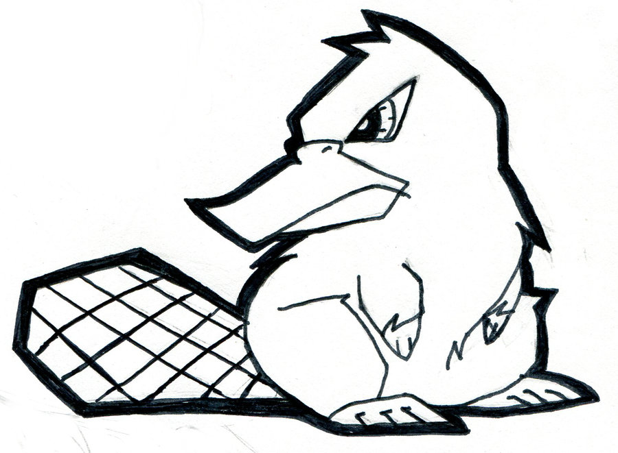 Platypus Drawing at GetDrawings | Free download