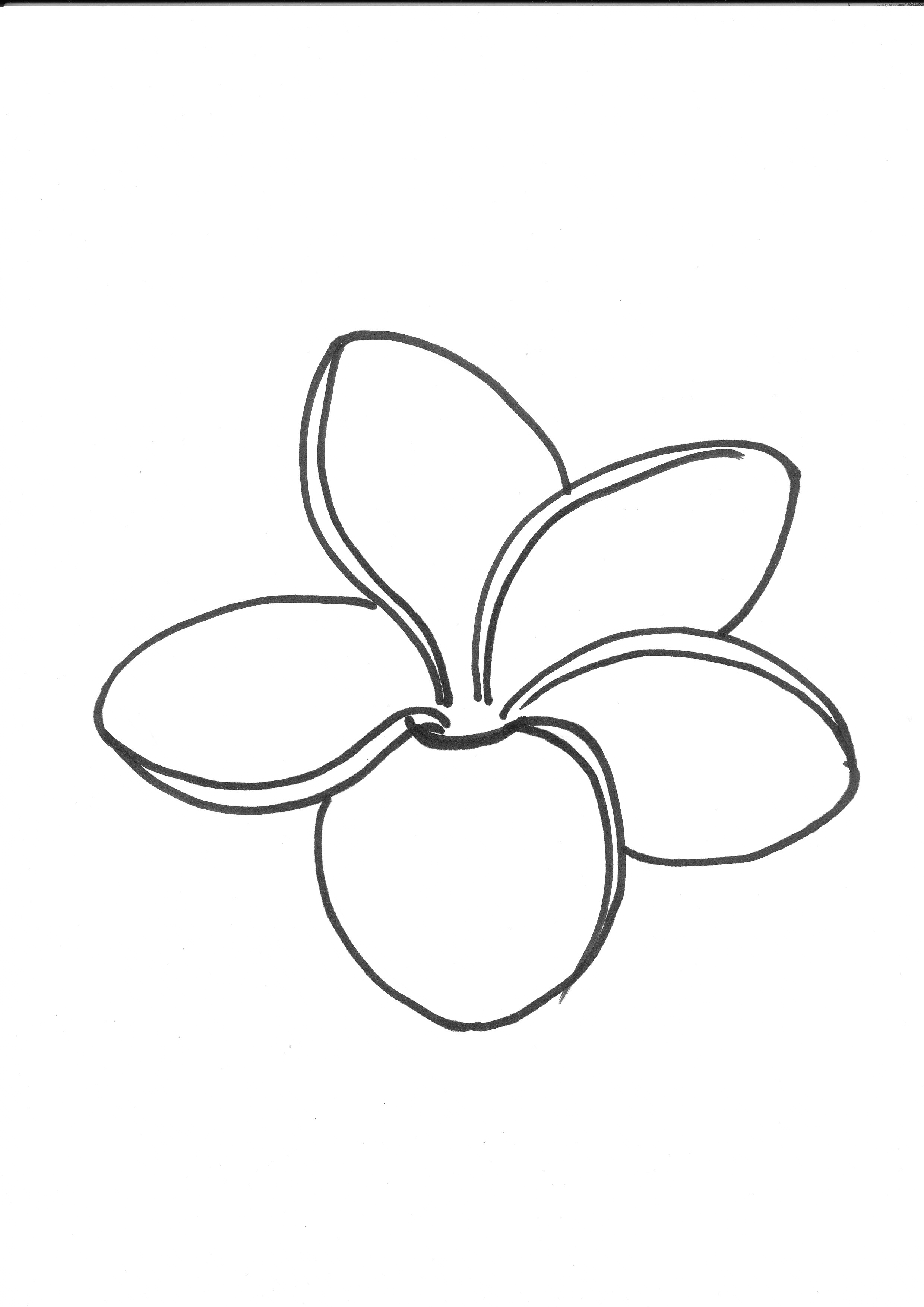  How To Draw A Frangipani Step By Step With Pictures in the world Learn more here 