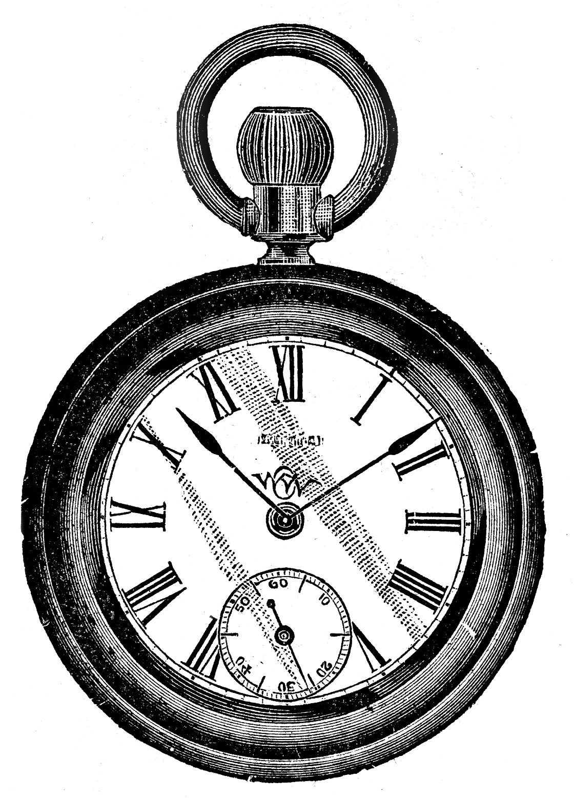 Pocket Watch With Roses Drawing at GetDrawings | Free download