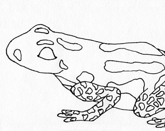 Poison Dart Frog Drawing at GetDrawings | Free download