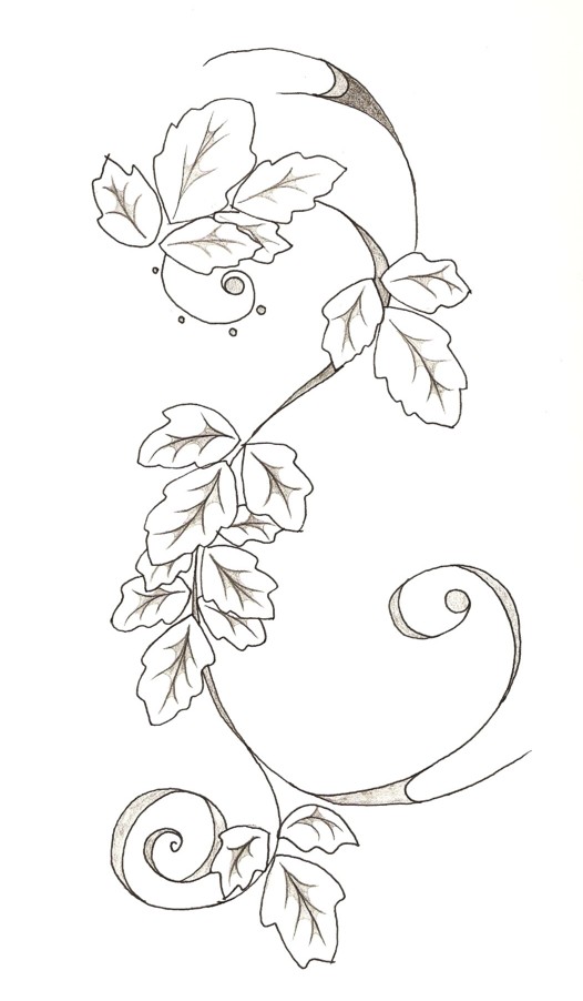 Poison Ivy Plant Drawing at GetDrawings Free download