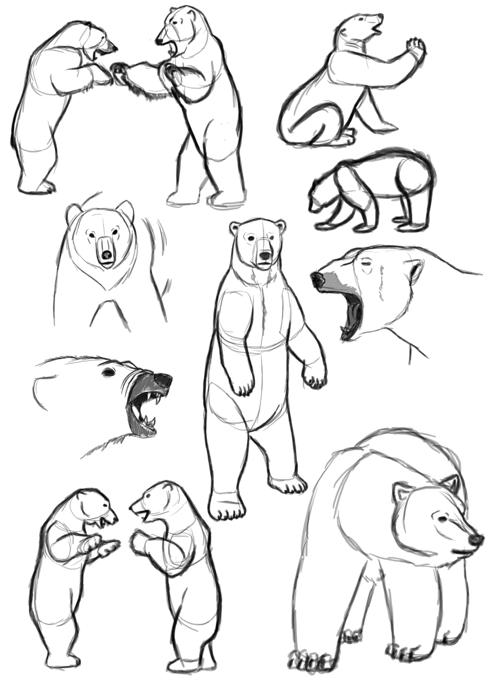 Polar Bear Drawing at GetDrawings | Free download
