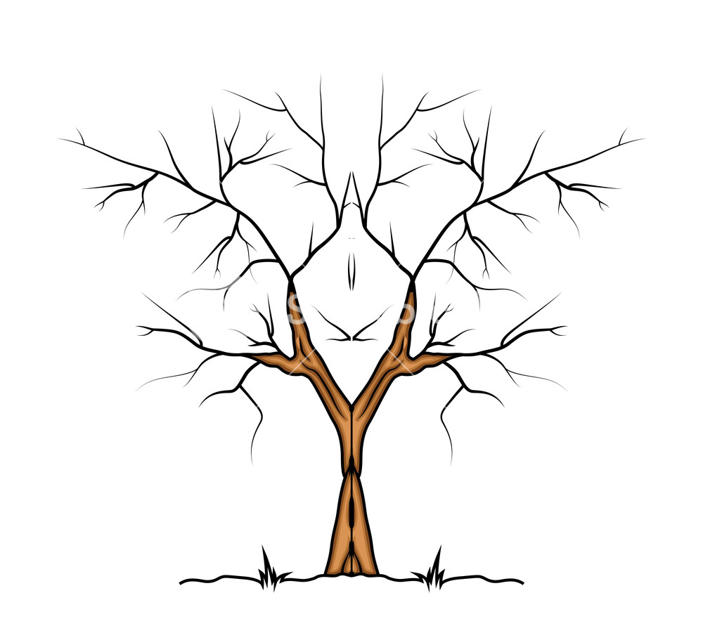 Pom Tree Drawing at GetDrawings Free download