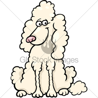 Poodle Cartoon Drawing at GetDrawings | Free download