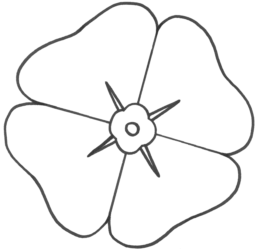 Poppy Drawing Template at GetDrawings Free download