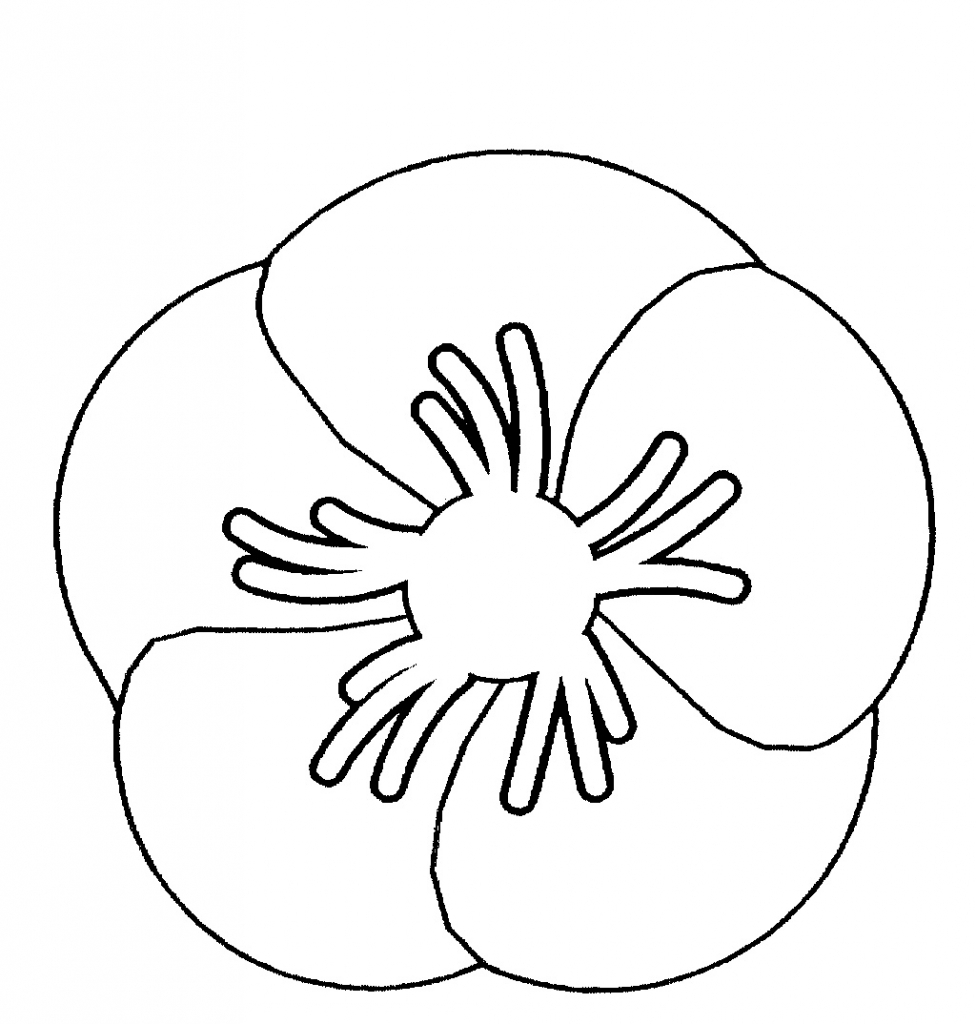 how-to-draw-a-poppy-really-easy-drawing-tutorial-flower-drawing