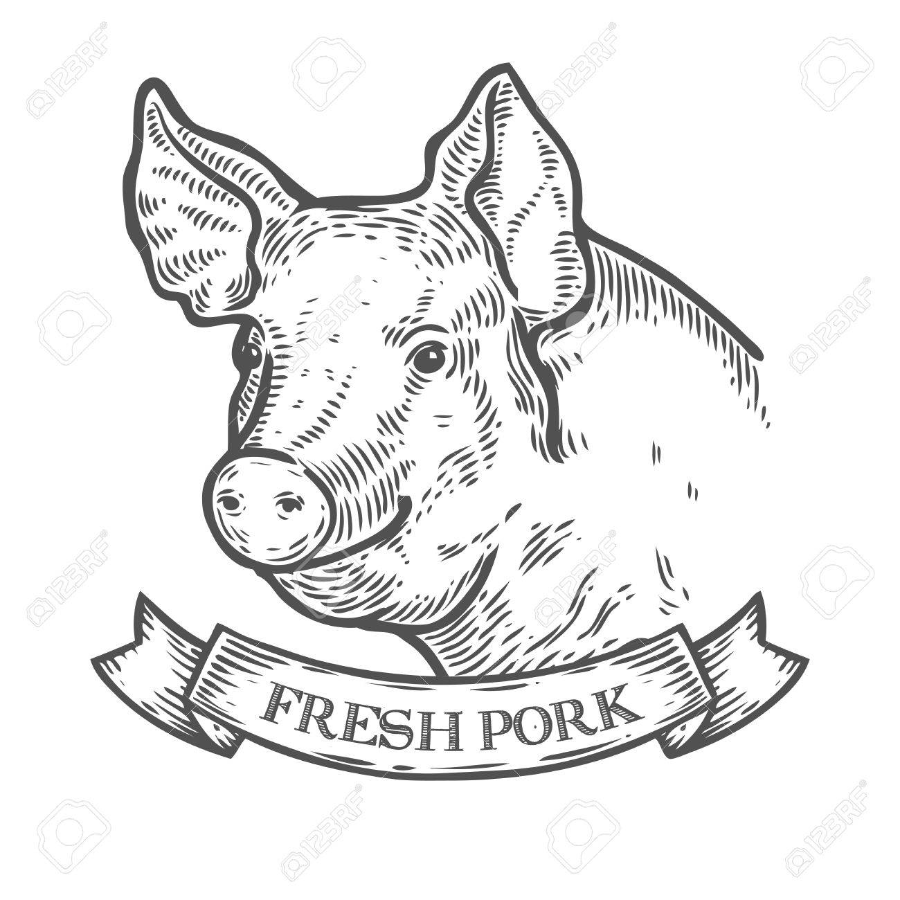 Pork Drawing at GetDrawings Free download