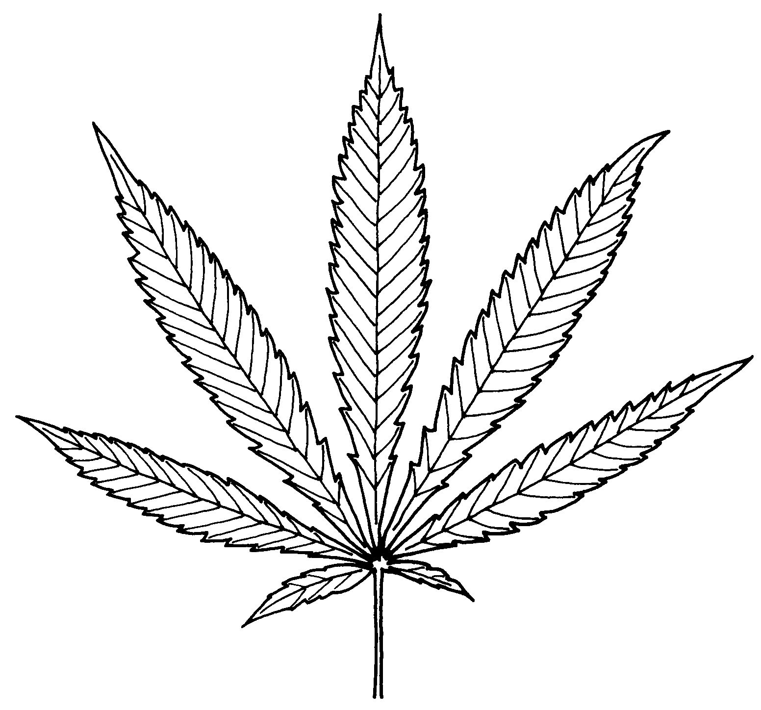 Pot Leaf Drawing Step By Step at GetDrawings | Free download