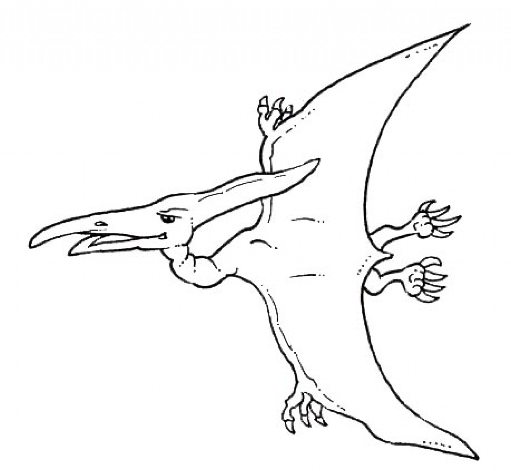 pteranodon coloring page