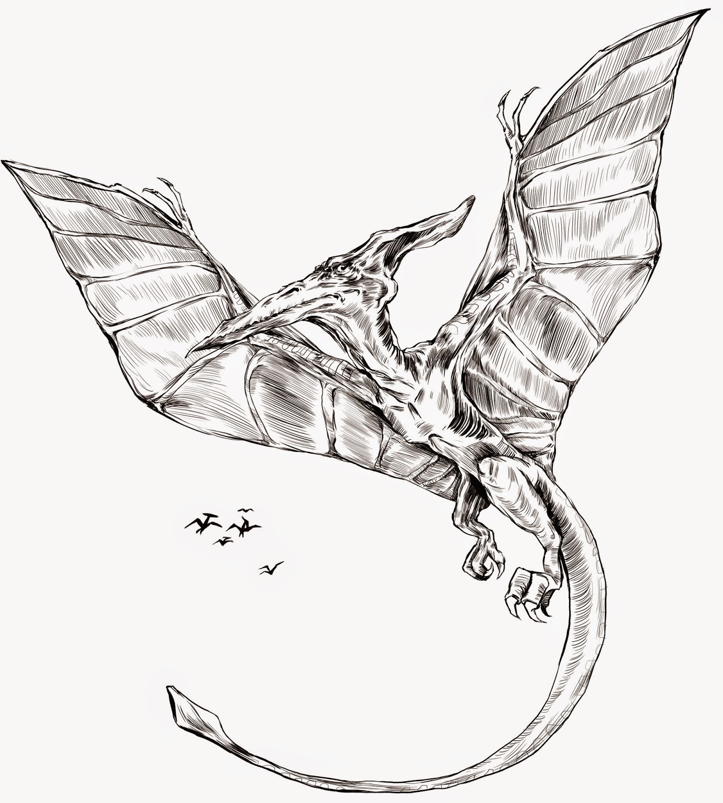 Pterodactyl Drawing at GetDrawings Free download