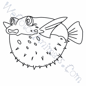 Pufferfish Drawing at GetDrawings | Free download