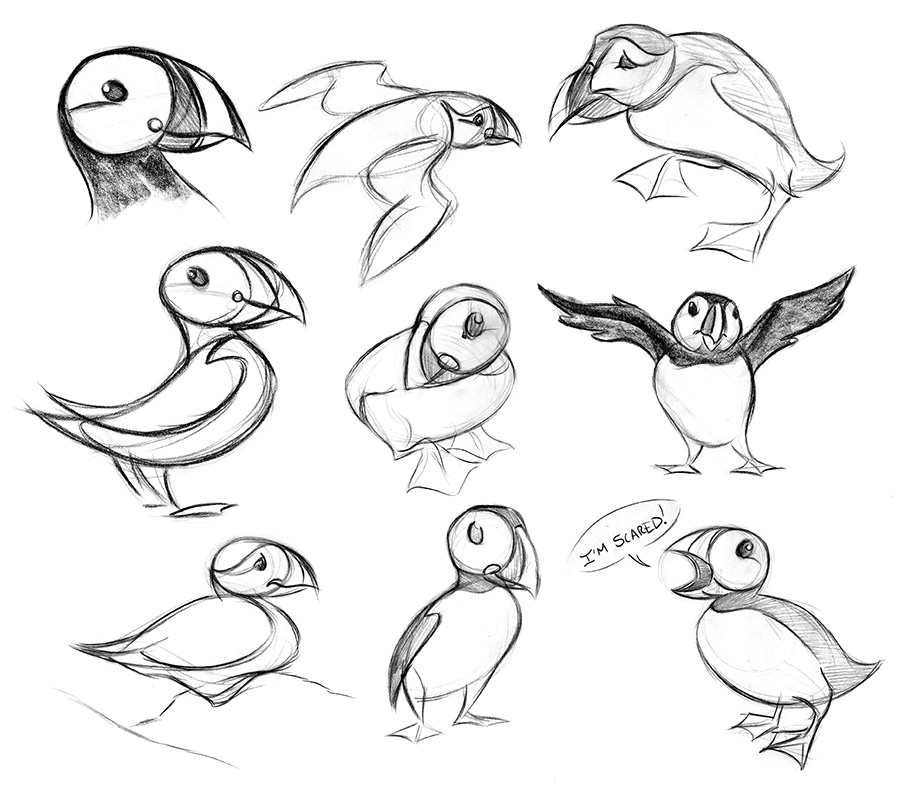 The best free Puffin drawing images. Download from 95 free drawings of