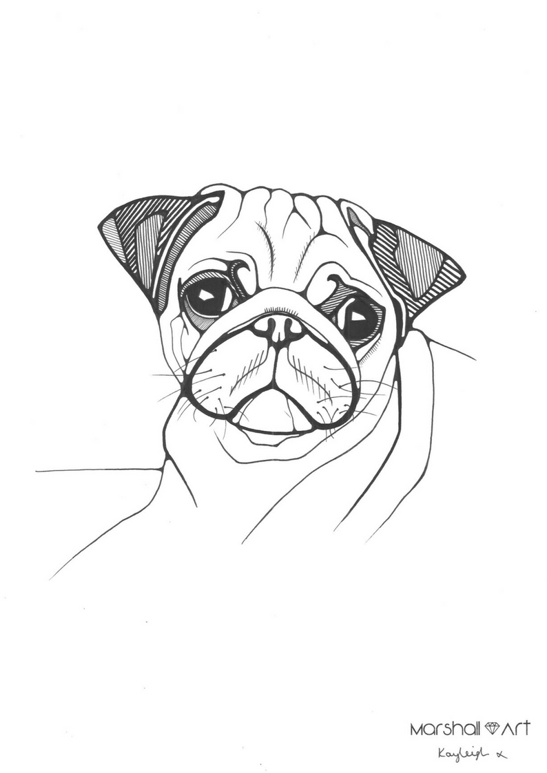 794x1123 Simple And Cute Pug Dog Animal Illustration By London Artist.