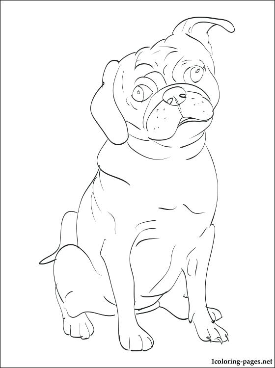 Pug Line Drawing at GetDrawings | Free download