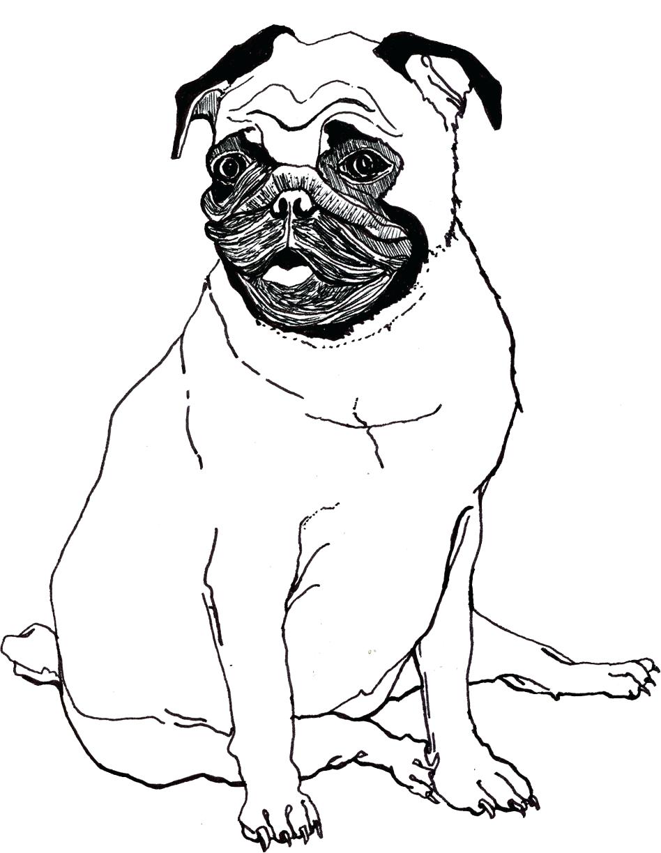 Pug Line Drawing at GetDrawings Free download