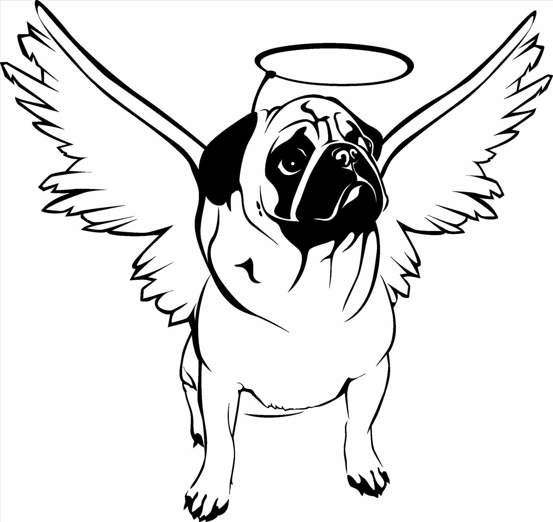 Pug Puppy Drawing at GetDrawings Free download