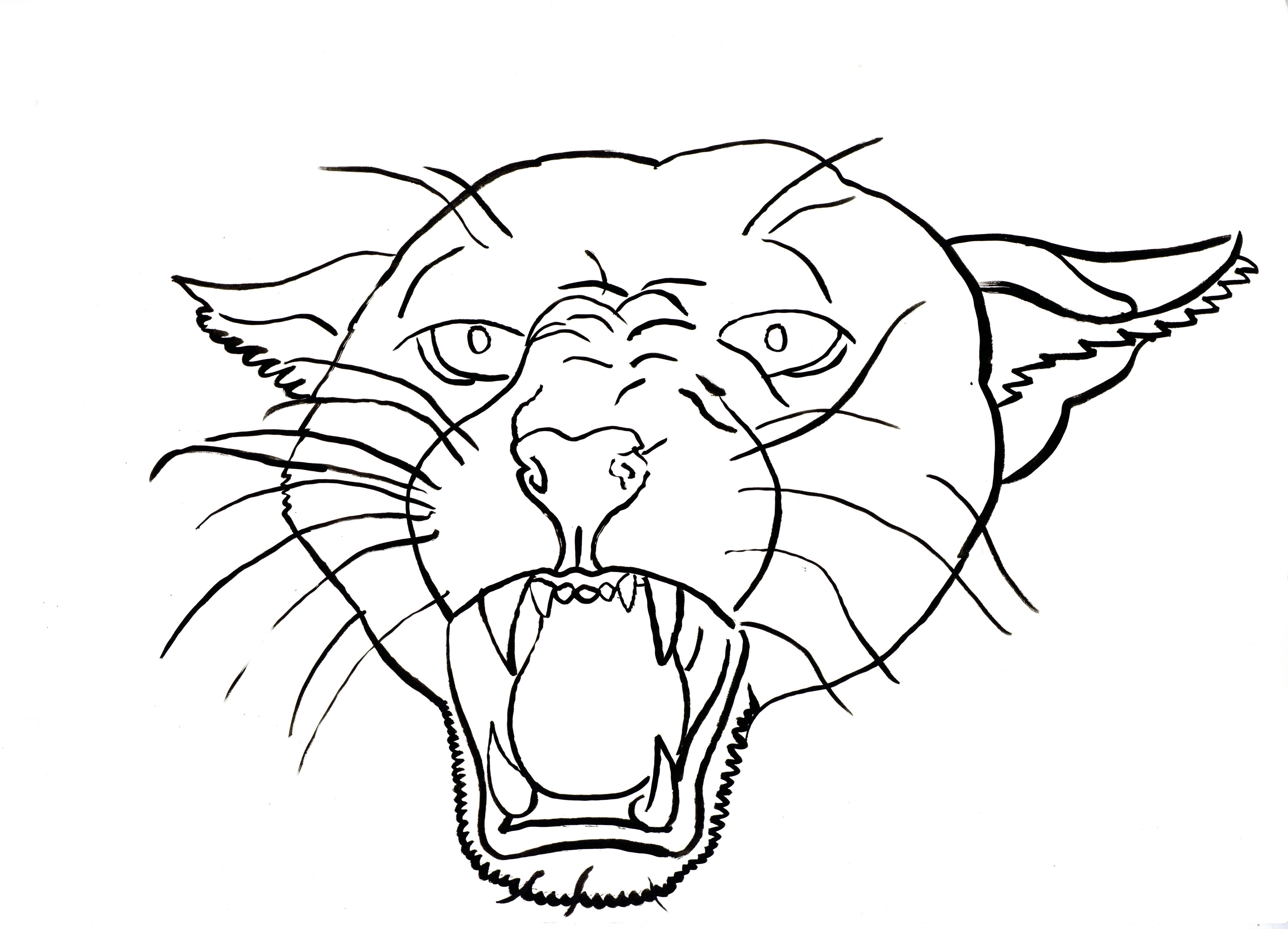 Puma Drawing at GetDrawings | Free download