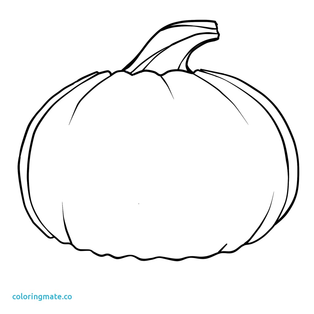 Pumpkin Drawing For Kids At GetDrawings Free Download
