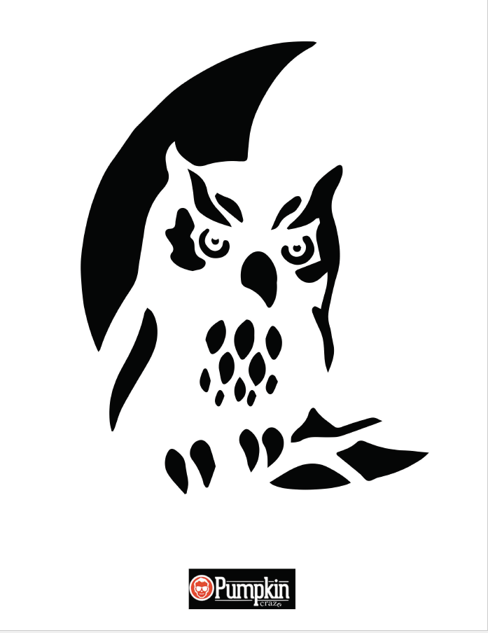 Owl Pumpkin Carving Template