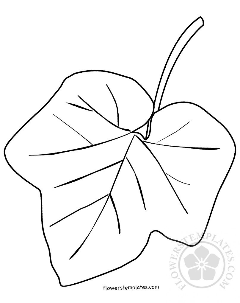 Pumpkin Leaf Template Printable from getdrawings.com